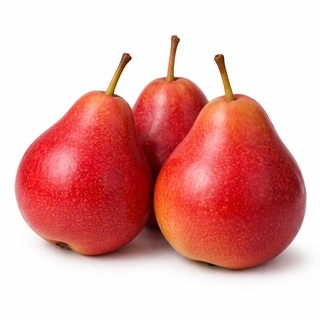 Red Babugosha