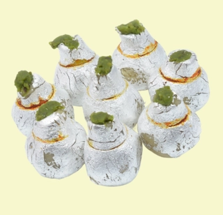 Kaju Kalash
