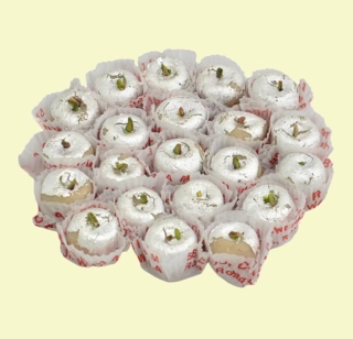 Kaju Sev
