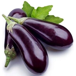 Brinjal Long (Baingan)
