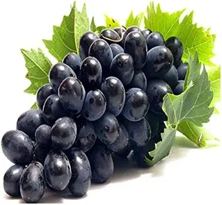 Grapes Black