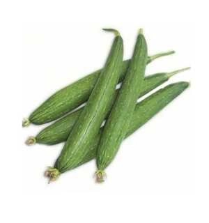 Sponge Gourd (Tori)
