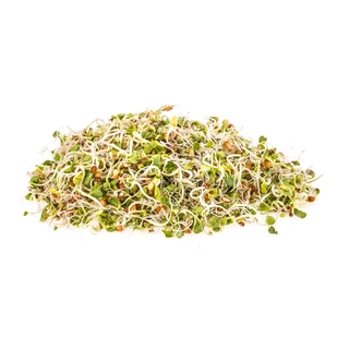 Moong Sprouts