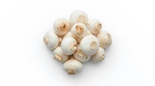 Mushroom Fresh