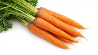 Carrot Ooty