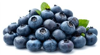 Blueberry Jumbo imported