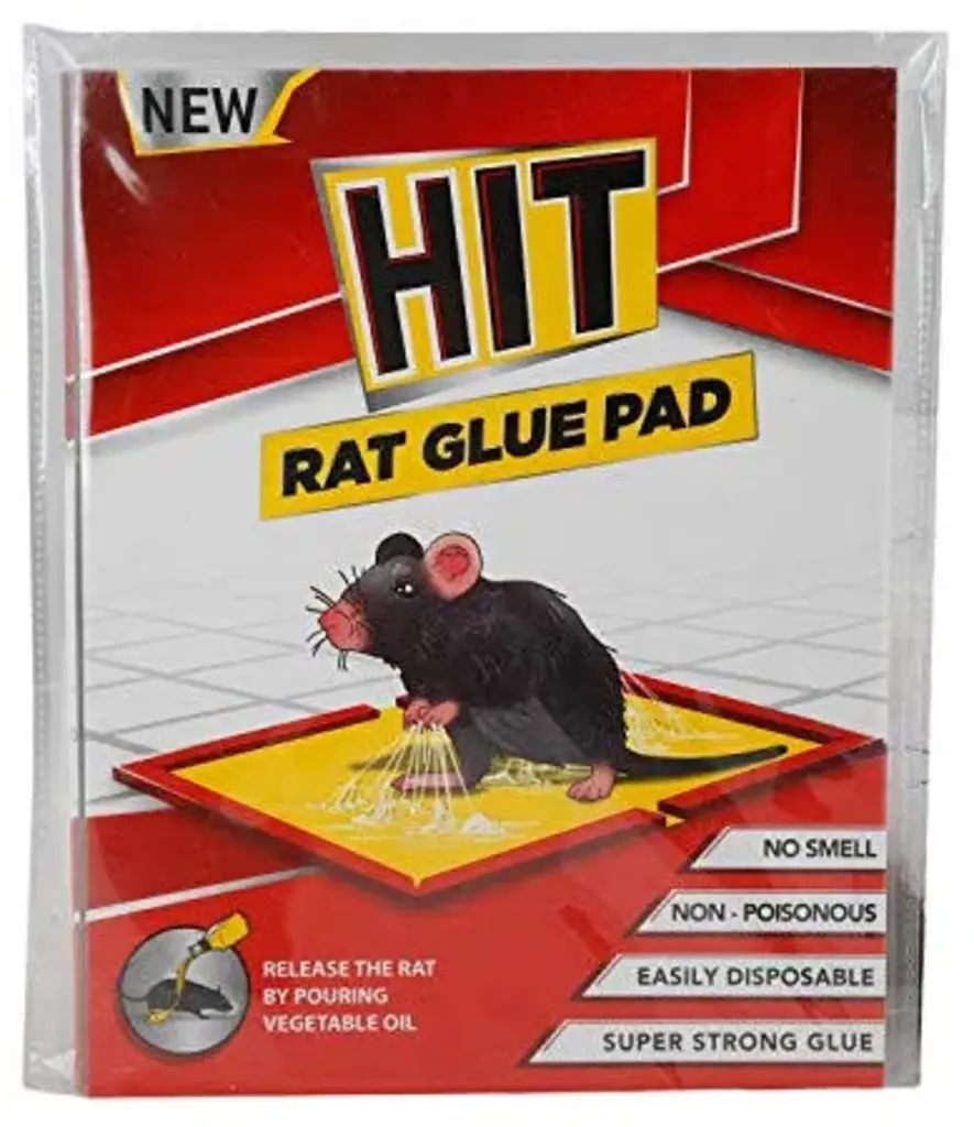 Rat Glue Pad Small