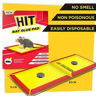 Rat Glue Pad Big