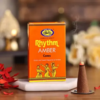 Cycle Rhythm Amber Cones 8Pcs