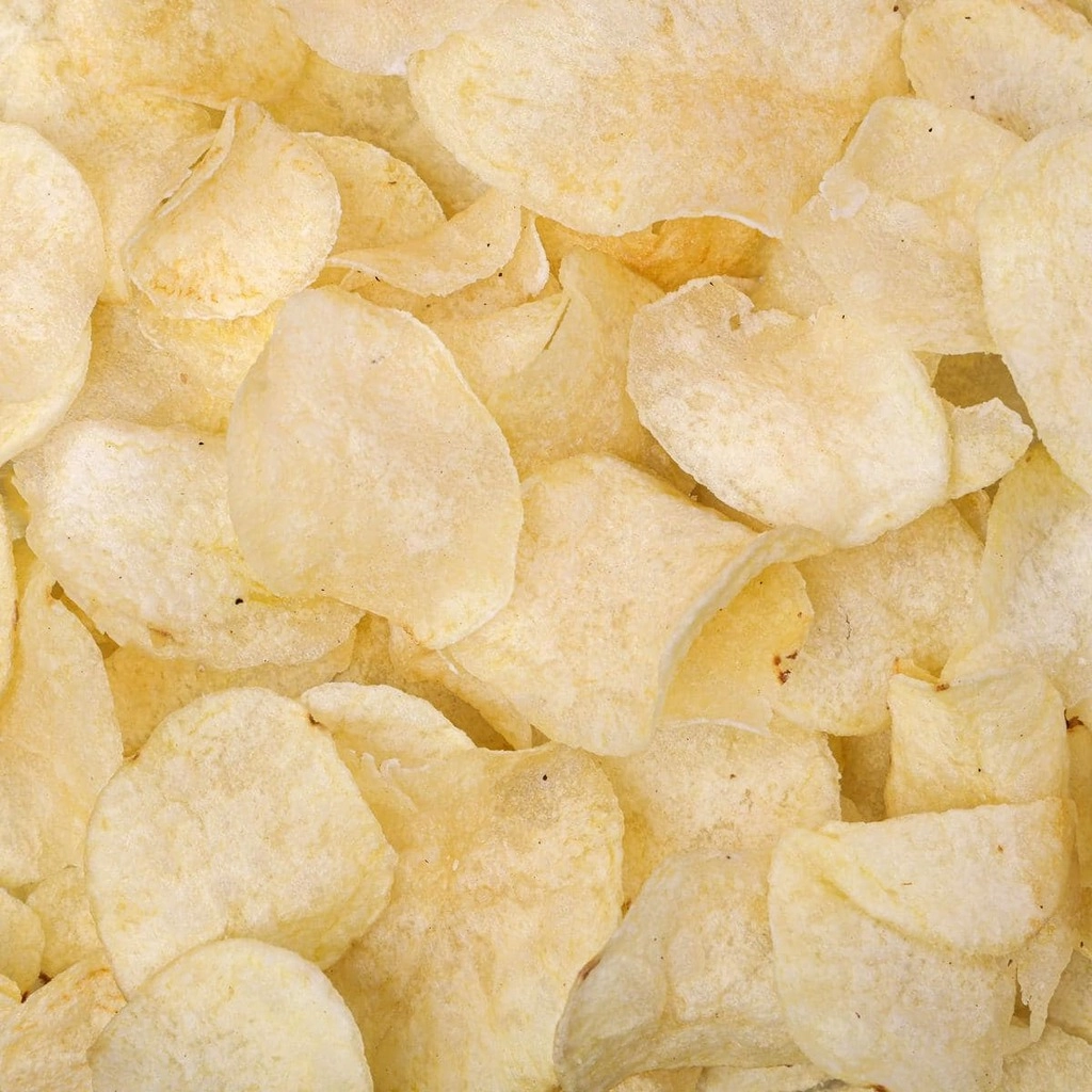 Salted Chips 100Gms Pkt