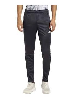 Men's Grey Polyester Trackpants