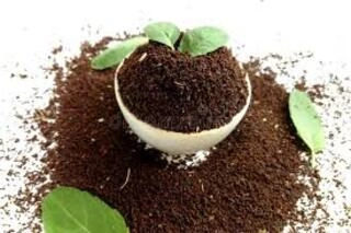 CHAI PATTI tea