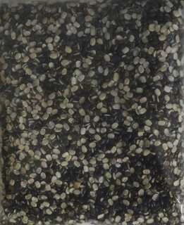 urad dal chilka