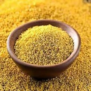 pili sarso (yellow sarso)