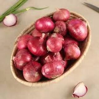Onion (Pyaz)