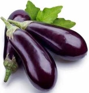 began (Brinjal)