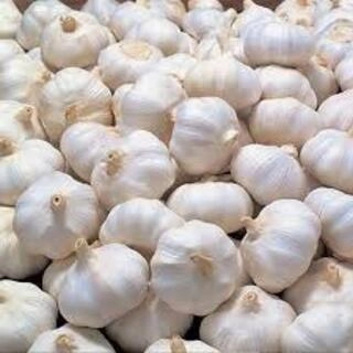 lahsun (Garlic)
