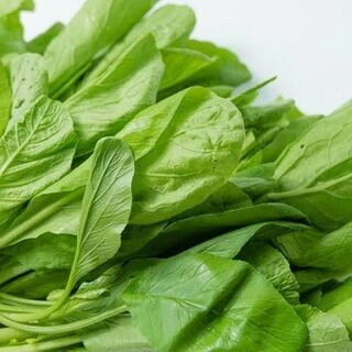 Gadha palak