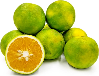Sweet Lime (mosambi)