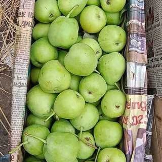 nagfal (indian pear)