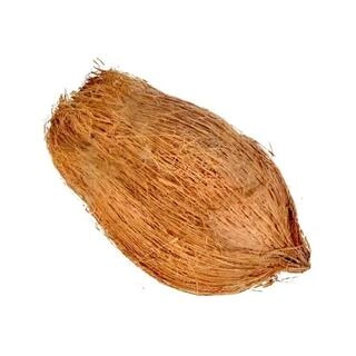 Nariyal (Paani wala)