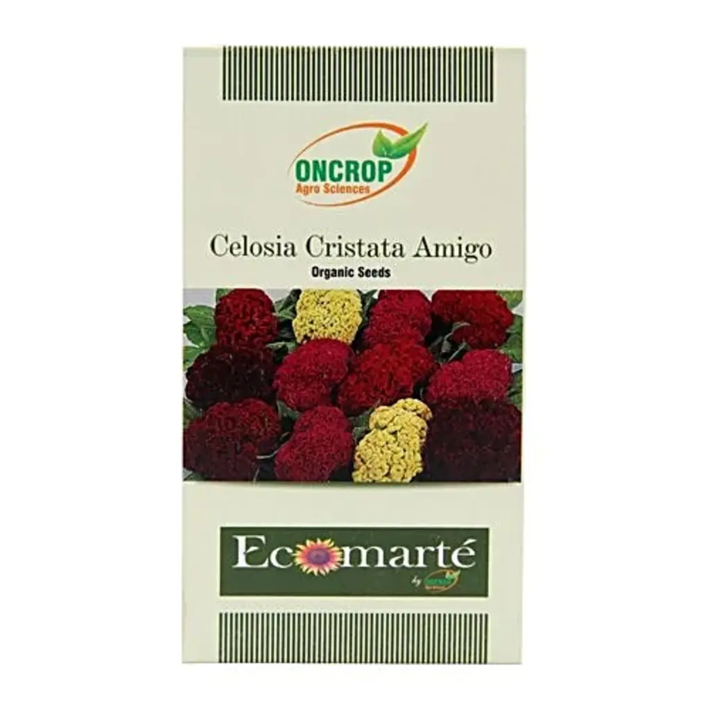 Oncrop Organic Celosia Cristata Armigo Seeds