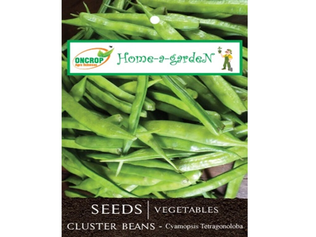 Oncrop Organic Cluster Beans Seeds