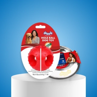 Pet Accessories