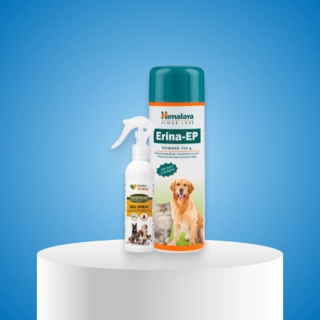Pet Cleaning & Grooming