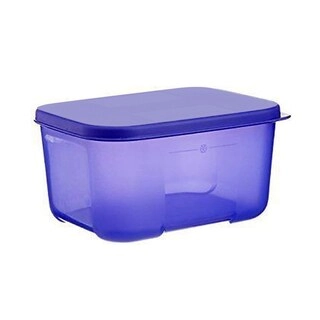 Signoraware Container Icy Cool Big 801