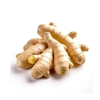 Ginger