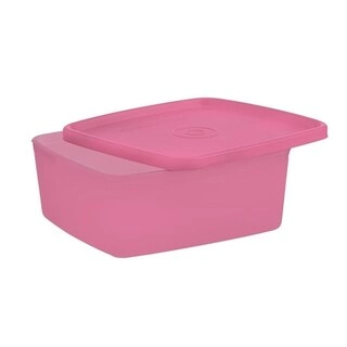 Signoraware Container Freezer Fresh Small 805