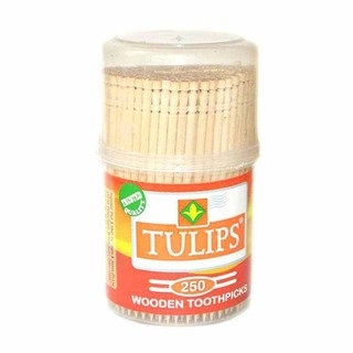 Tulips Wooden Tooth Picks