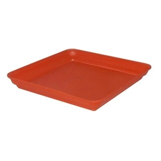 Star Green Garden Tray Square No 12