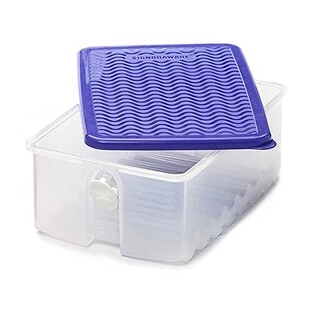 Signoraware Container Fridge Fresh Tab Medium 815