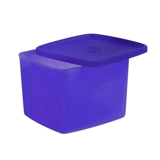 Signoraware Container Freezer Fresh Big 804