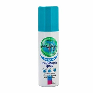 Amrutanjan Spray 30G