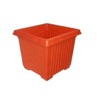 Star Green Garden Pot Square No 6