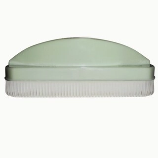 Plastic Cloth Brush Vice President