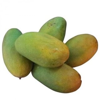 Mango Dusehri