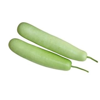 Bottle Gourd