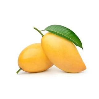 Mango Alphonso