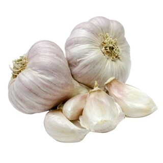 Garlic