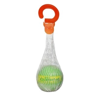 Rainbow Air Freshner