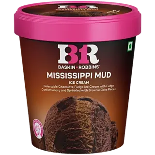 Baskin Robbins Ice Cream - Mississippi Mud