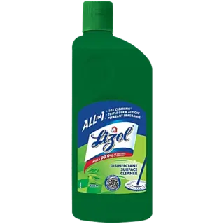 Lizol Disinfectant Surface & Floor Cleaner Liquid Neem