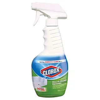 Clorox Mold & Mildew Remover