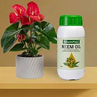 Natures Plus Neem Oil