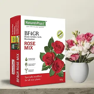 Natures Plus Rose Mix