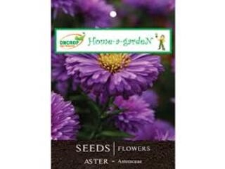 Oncrop Organic Aster Seeds